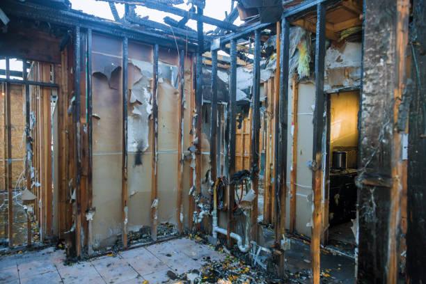 Professional Fire Damage Removal technician working in Navajo, NM